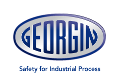 georgin